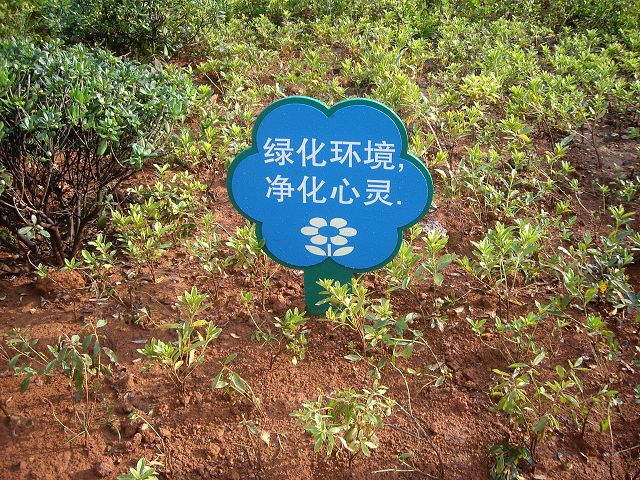 绿化公益牌 