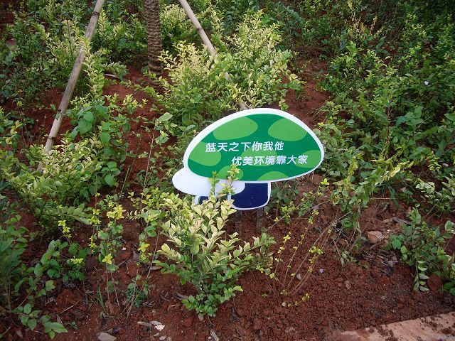 绿化公益牌 