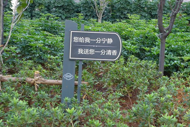 绿化公益牌 